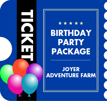 Birthday Party Package - October