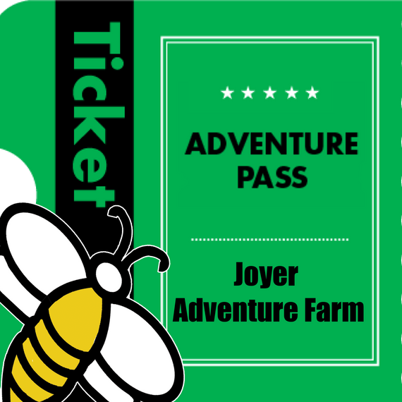 Honeybee Experience Passes