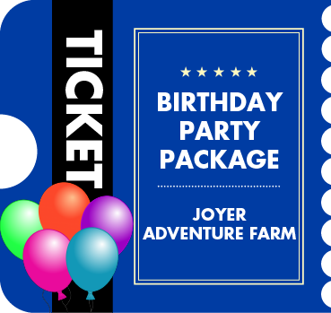 Birthday Party Package - Early Summer