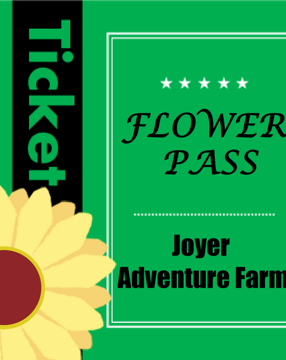 Sunflower Festival Passes
