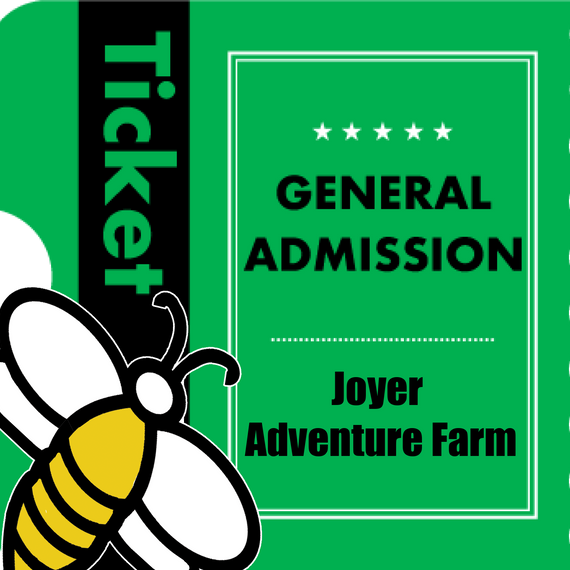 Honeybee Experience Passes