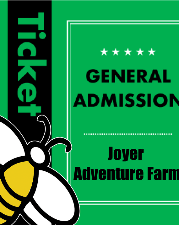 Honeybee Experience Passes