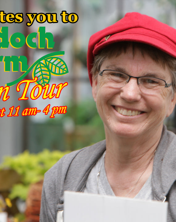 Waldoch Farm Garden Center's Garden Tour