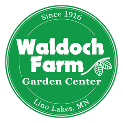 logo-waldoch-badge_M9Td.png